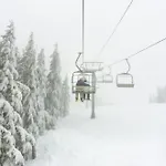 Шале Zalbander *