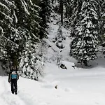 Zalbander Chalet