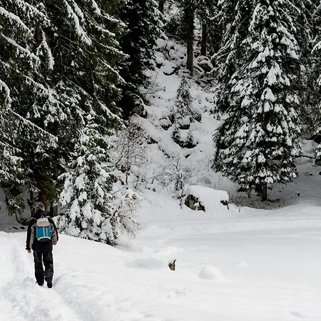 Zalbander Horská chata